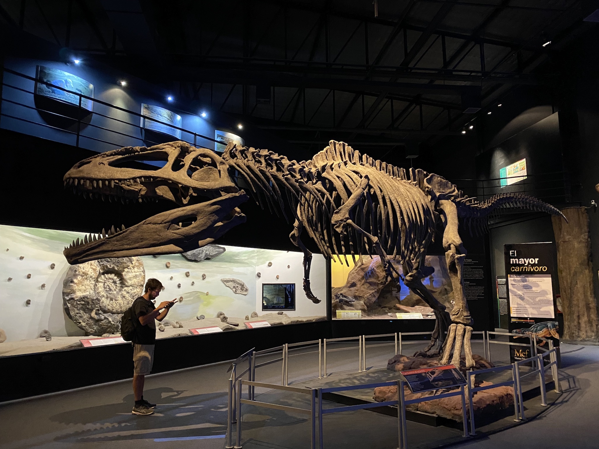 Натиснете снимката за да я уголемите

Име:IMG_8225.jpeg
Прегледи:2164
Размер:919.6 КБ
ID:6903247