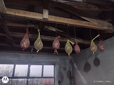 Натиснете снимката за да я уголемите

Име:rsz_1img_20221221_170353121_hdr.jpg
Прегледи:1221
Размер:666.0 КБ
ID:6904488