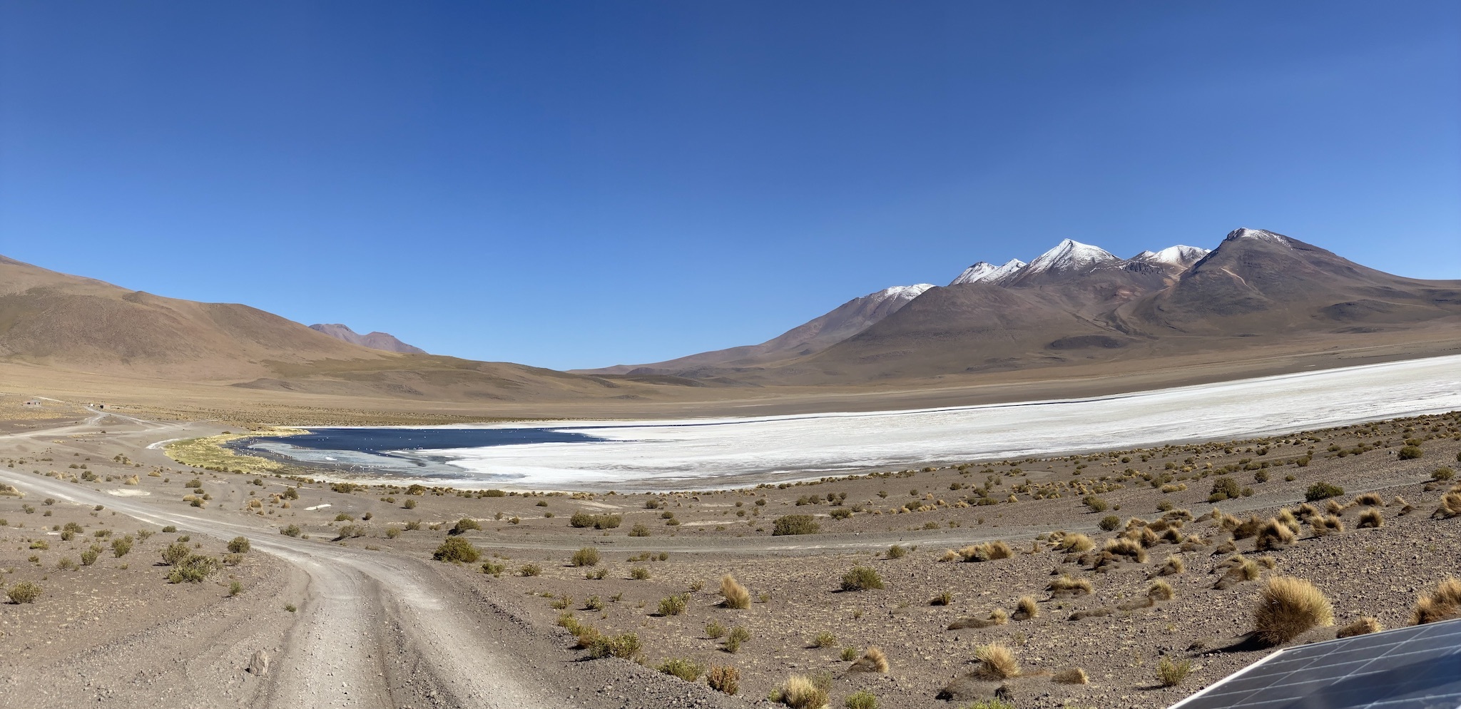 Натиснете снимката за да я уголемите

Име:IMG_9515.jpeg
Прегледи:1893
Размер:620.7 КБ
ID:6905924