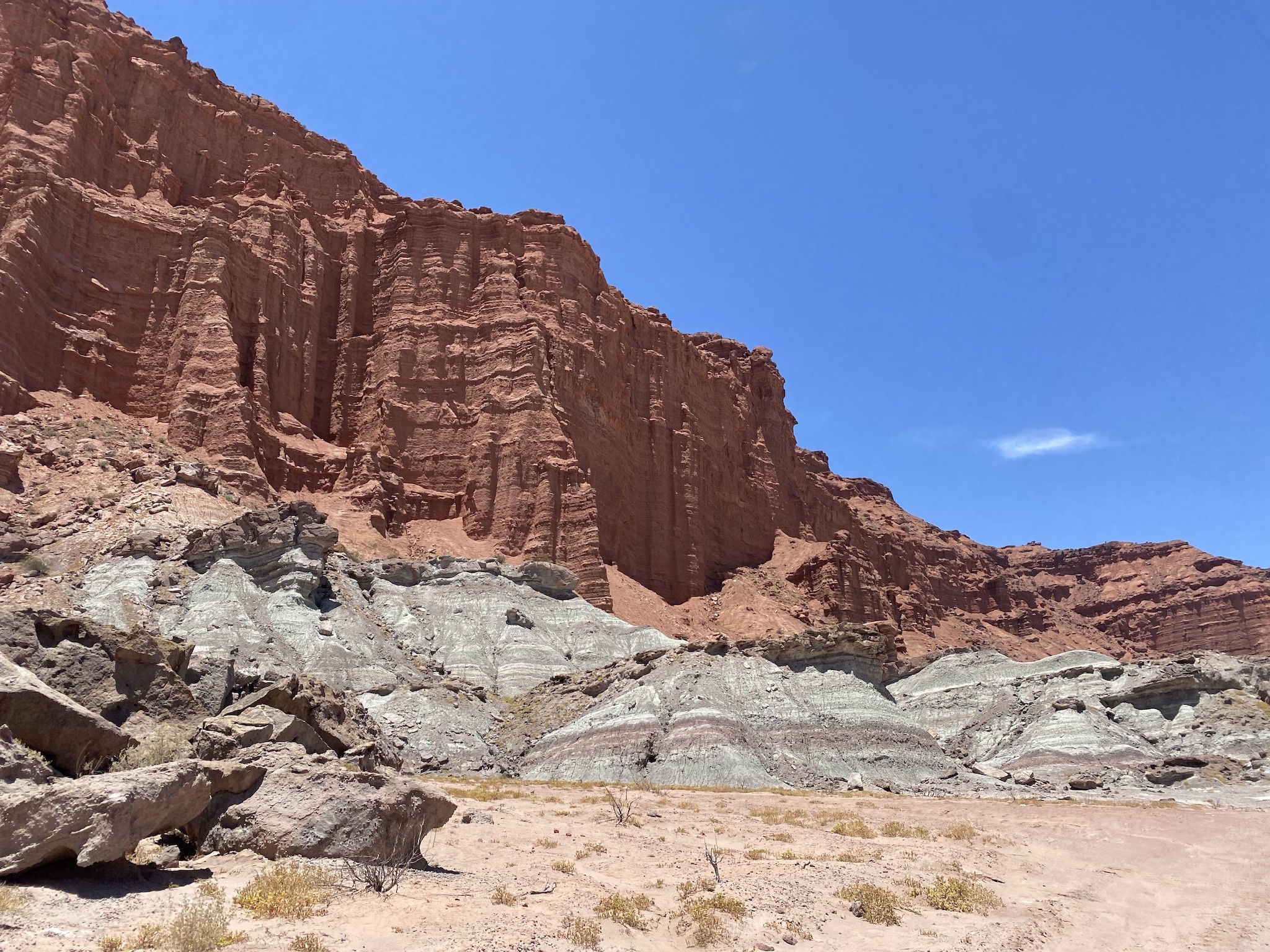 Натиснете снимката за да я уголемите

Име:IMG_8693.jpeg
Прегледи:1853
Размер:1.18 МБ
ID:6906138