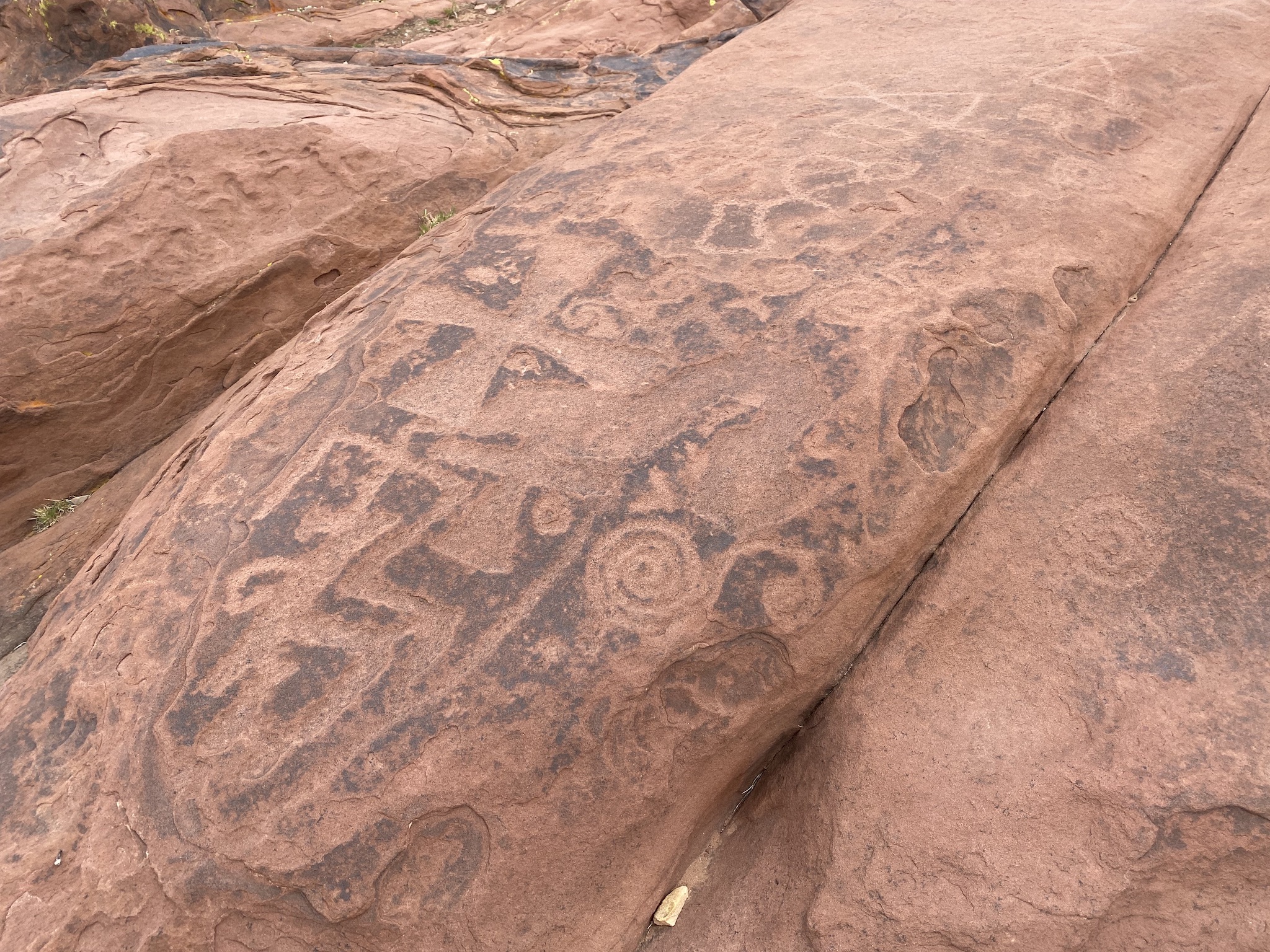 Натиснете снимката за да я уголемите

Име:IMG_9085.jpeg
Прегледи:1853
Размер:1.44 МБ
ID:6906153