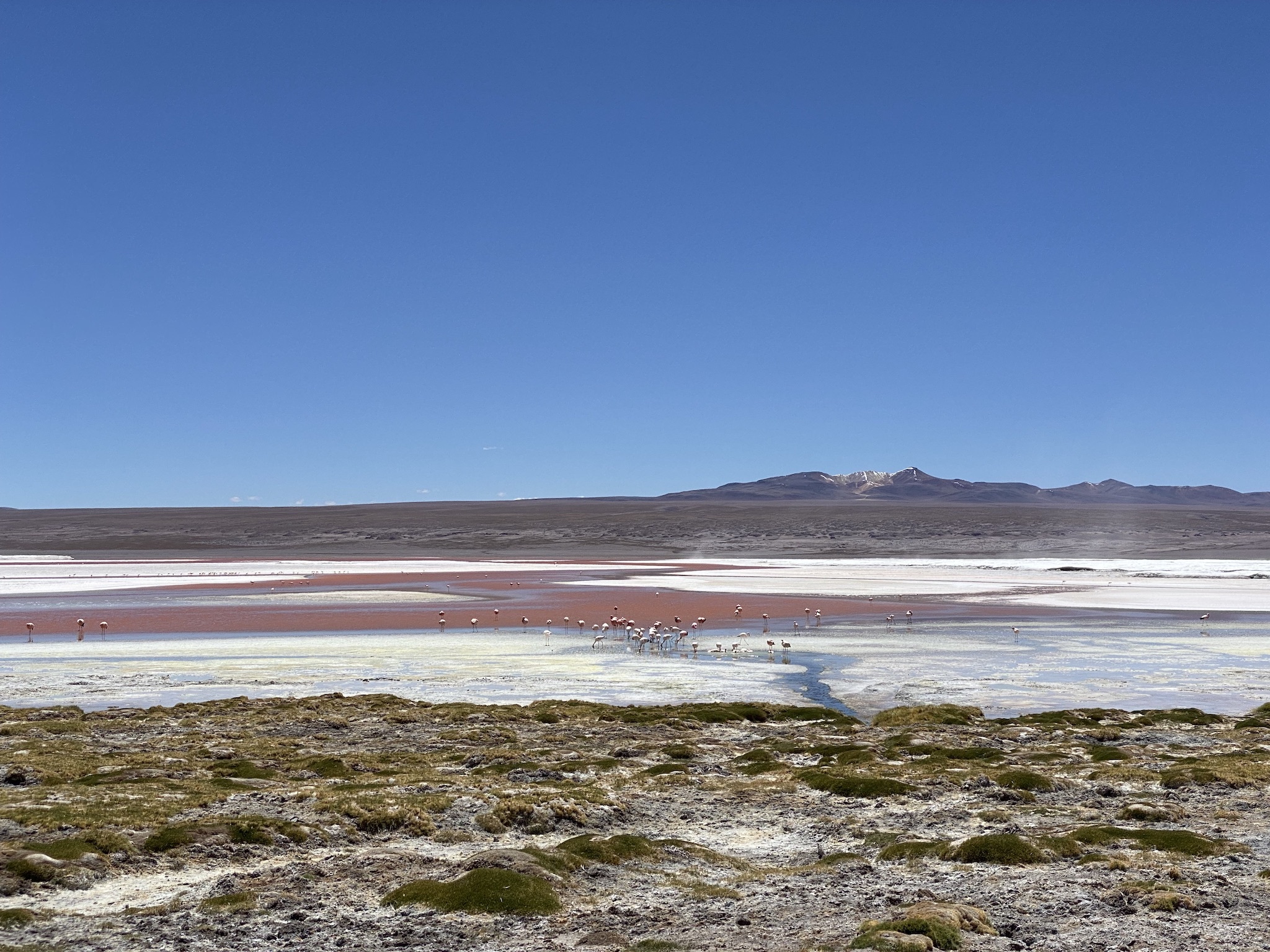 Натиснете снимката за да я уголемите

Име:IMG_9480.jpeg
Прегледи:1798
Размер:1,018.3 КБ
ID:6906163