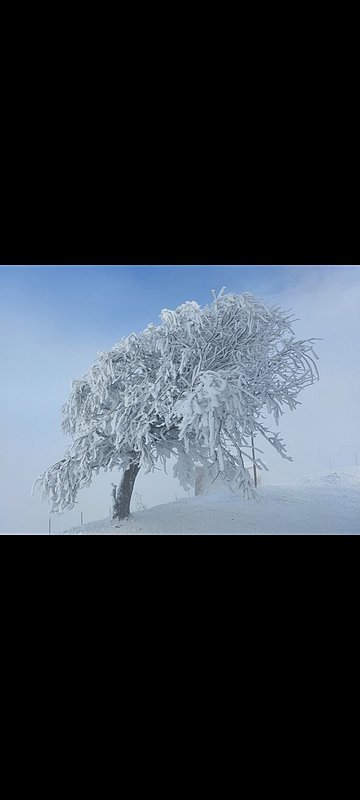 Натиснете снимката за да я уголемите

Име:Screenshot_20230113_152152_Gallery.jpg
Прегледи:165
Размер:119.1 КБ
ID:6907244