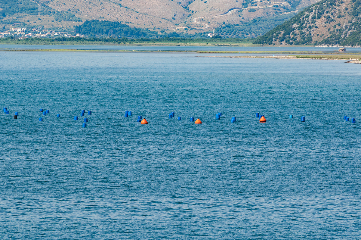 Натиснете снимката за да я уголемите  Име:DSC_3829.jpg Прегледи:0 Размер:1.39 МБ ID:6908549