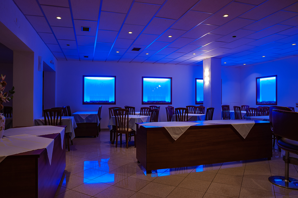 Натиснете снимката за да я уголемите

Име:DSC_3954.jpg
Прегледи:312
Размер:658.1 КБ
ID:6908589