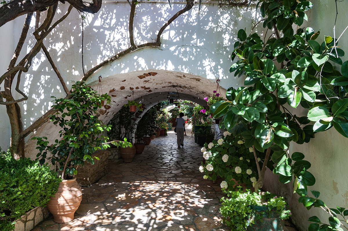 Натиснете снимката за да я уголемите  Име:DSC_4193.jpg Прегледи:0 Размер:1.12 МБ ID:6908624