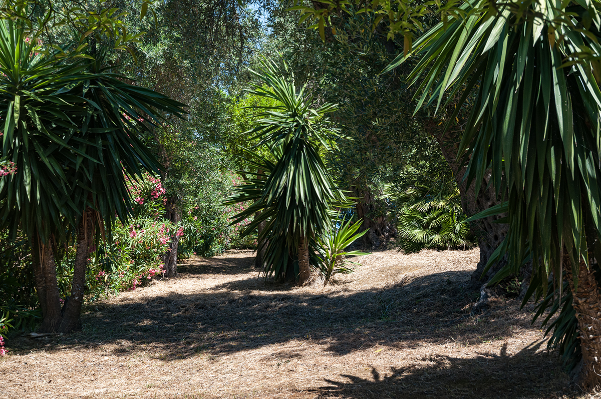 Натиснете снимката за да я уголемите

Име:DSC_4078.jpg
Прегледи:322
Размер:1.35 МБ
ID:6908644