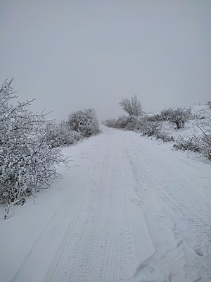 Натиснете снимката за да я уголемите

Име:IMG_20230129_131532.jpg
Прегледи:223
Размер:343.3 КБ
ID:6909856