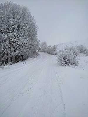 Натиснете снимката за да я уголемите

Име:IMG_20230129_131537.jpg
Прегледи:228
Размер:469.2 КБ
ID:6909857