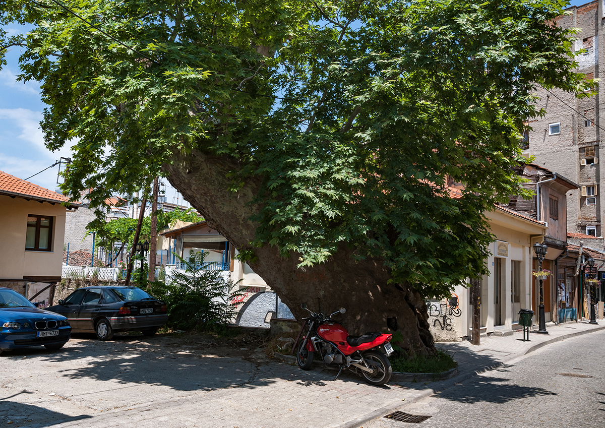 Натиснете снимката за да я уголемите  Име:DSC_4523.jpg Прегледи:0 Размер:1.38 МБ ID:6910519