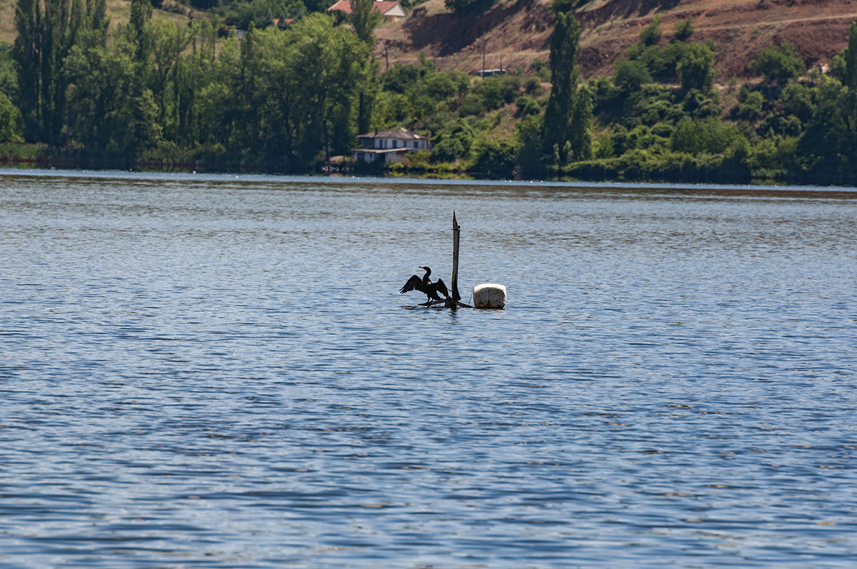 Натиснете снимката за да я уголемите  Име:DSC_4937.jpg Прегледи:0 Размер:987.3 КБ ID:6910574
