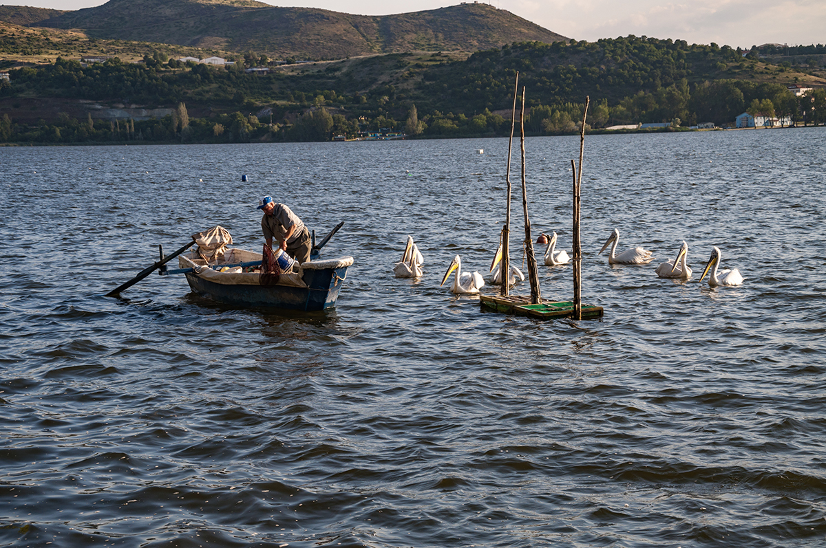Натиснете снимката за да я уголемите  Име:DSC_1224.jpg Прегледи:0 Размер:1.11 МБ ID:6910620