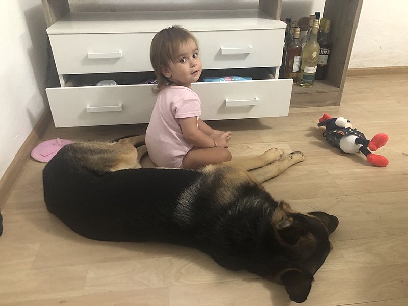 Натиснете снимката за да я уголемите

Име:IMG-81d28da35b19860aee50459066e168c5-V.jpg
Прегледи:118
Размер:196.6 КБ
ID:6911102