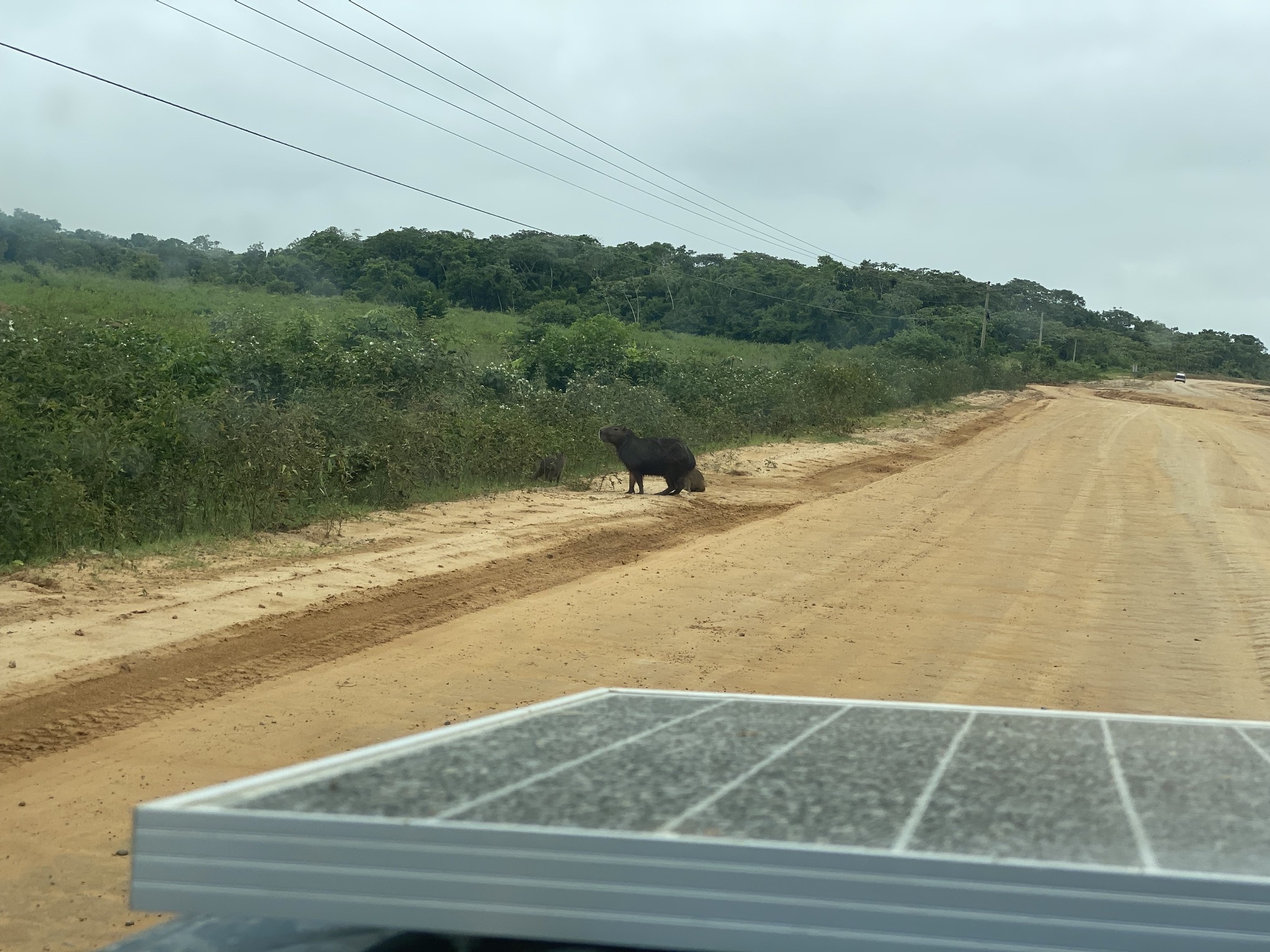 Натиснете снимката за да я уголемите

Име:326555334_959051745065141_521815994676381968_n.jpg
Прегледи:1406
Размер:716.6 КБ
ID:6911138