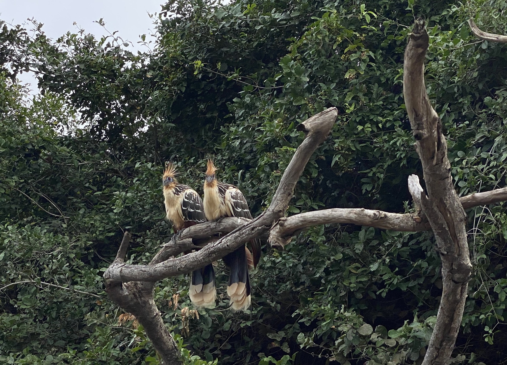 Натиснете снимката за да я уголемите

Име:326588670_689979756189036_6767035709983332196_n.jpg
Прегледи:1428
Размер:1.18 МБ
ID:6911141