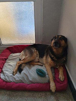 Натиснете снимката за да я уголемите

Име:IMG-608171d8f9e0cc6280a51ad1854be23b-V.jpg
Прегледи:382
Размер:198.3 КБ
ID:6911559
