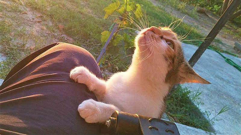 Натиснете снимката за да я уголемите

Име:IMG_20210910_192556.jpg
Прегледи:354
Размер:413.3 КБ
ID:6911602