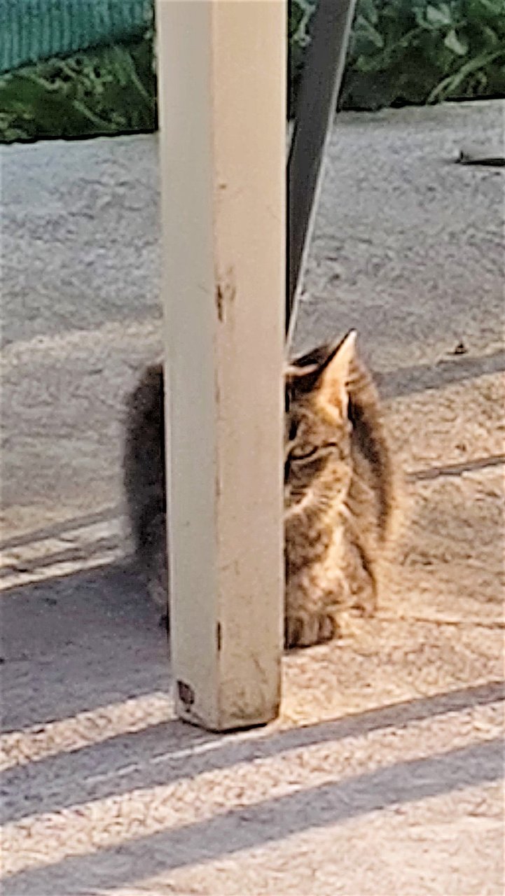 Натиснете снимката за да я уголемите

Име:IMG_20220329_182019017_MP.jpg
Прегледи:359
Размер:256.0 КБ
ID:6911605