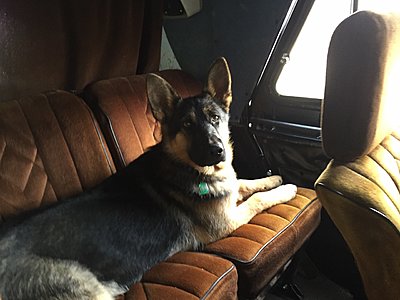 Натиснете снимката за да я уголемите

Име:image-536a0a787e2905ed5ca6de7bd4a36b3d5a13f4b18f7c1a5c93dee6b76a6d18fa-V.jpg
Прегледи:1232
Размер:215.8 КБ
ID:6911632