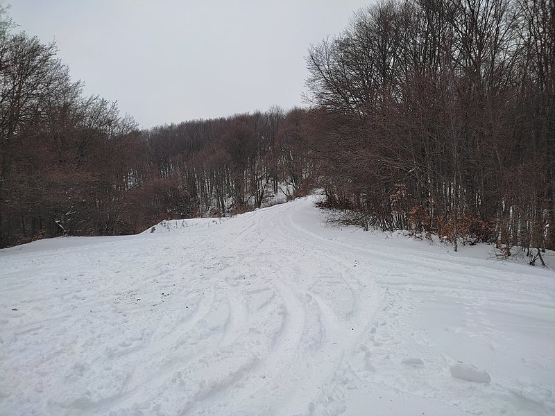 Натиснете снимката за да я уголемите  Име:IMG_20230212_124756.jpg Прегледи:0 Размер:627.8 КБ ID:6911893