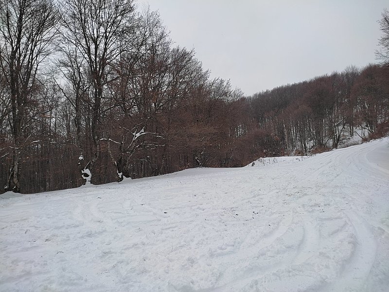 Натиснете снимката за да я уголемите  Име:IMG_20230212_124802.jpg Прегледи:0 Размер:691.8 КБ ID:6911894