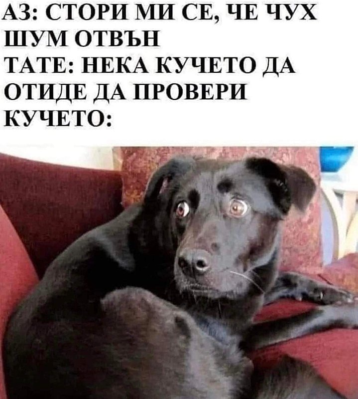 Натиснете снимката за да я уголемите

Име:FDB855B3-2D43-4737-A372-856D3563AA26.jpeg
Прегледи:87
Размер:145.6 КБ
ID:6913820