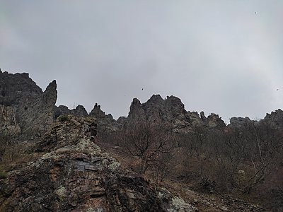 Натиснете снимката за да я уголемите

Име:IMG_20230303_142853.jpg
Прегледи:382
Размер:509.4 КБ
ID:6915017