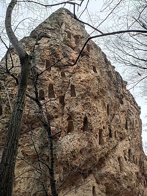 Натиснете снимката за да я уголемите

Име:IMG_20230303_152917.jpg
Прегледи:391
Размер:1.03 МБ
ID:6915022