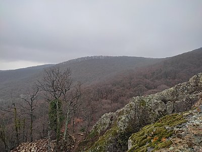 Натиснете снимката за да я уголемите

Име:IMG_20230303_154355.jpg
Прегледи:392
Размер:599.8 КБ
ID:6915026
