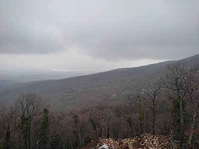 Натиснете снимката за да я уголемите

Име:IMG_20230303_154400.jpg
Прегледи:388
Размер:474.9 КБ
ID:6915028