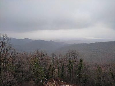 Натиснете снимката за да я уголемите

Име:IMG_20230303_154404.jpg
Прегледи:370
Размер:493.2 КБ
ID:6915029