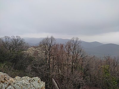 Натиснете снимката за да я уголемите

Име:IMG_20230303_154408.jpg
Прегледи:385
Размер:675.8 КБ
ID:6915032
