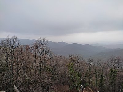 Натиснете снимката за да я уголемите

Име:IMG_20230303_154406.jpg
Прегледи:374
Размер:599.2 КБ
ID:6915033