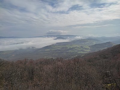 Натиснете снимката за да я уголемите

Име:IMG_20230304_102758.jpg
Прегледи:384
Размер:498.9 КБ
ID:6915035