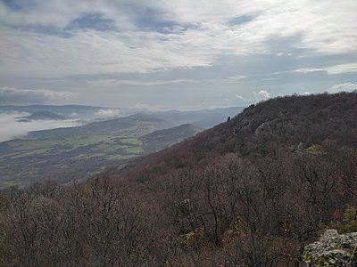 Натиснете снимката за да я уголемите

Име:IMG_20230304_102756.jpg
Прегледи:387
Размер:524.7 КБ
ID:6915036