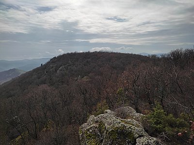 Натиснете снимката за да я уголемите

Име:IMG_20230304_102752.jpg
Прегледи:380
Размер:589.1 КБ
ID:6915037