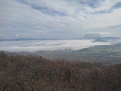 Натиснете снимката за да я уголемите

Име:IMG_20230304_102801.jpg
Прегледи:372
Размер:559.6 КБ
ID:6915039