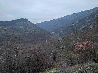 Натиснете снимката за да я уголемите

Име:IMG_20230303_180120.jpg
Прегледи:380
Размер:630.7 КБ
ID:6915040