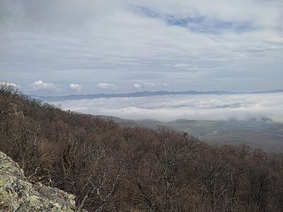 Натиснете снимката за да я уголемите

Име:IMG_20230304_102803.jpg
Прегледи:388
Размер:615.5 КБ
ID:6915042