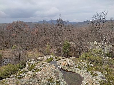 Натиснете снимката за да я уголемите

Име:IMG_20230304_105018.jpg
Прегледи:387
Размер:1,016.0 КБ
ID:6915045