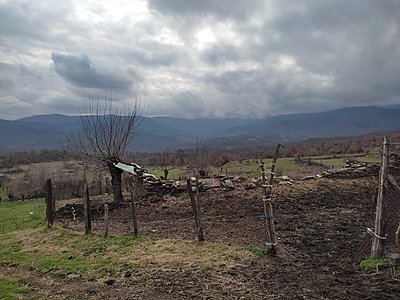Натиснете снимката за да я уголемите

Име:IMG_20230304_134555.jpg
Прегледи:374
Размер:691.1 КБ
ID:6915049