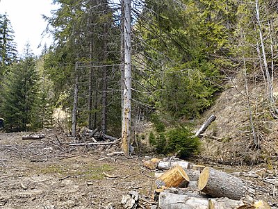 Натиснете снимката за да я уголемите

Име:IMG-050c1051a26d07054f39a257b2114f1f-V.jpg
Прегледи:192
Размер:573.5 КБ
ID:6918335