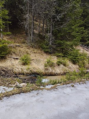 Натиснете снимката за да я уголемите

Име:IMG-cdabee25ef669b0b741a6d725d6f984a-V.jpg
Прегледи:192
Размер:571.6 КБ
ID:6918345