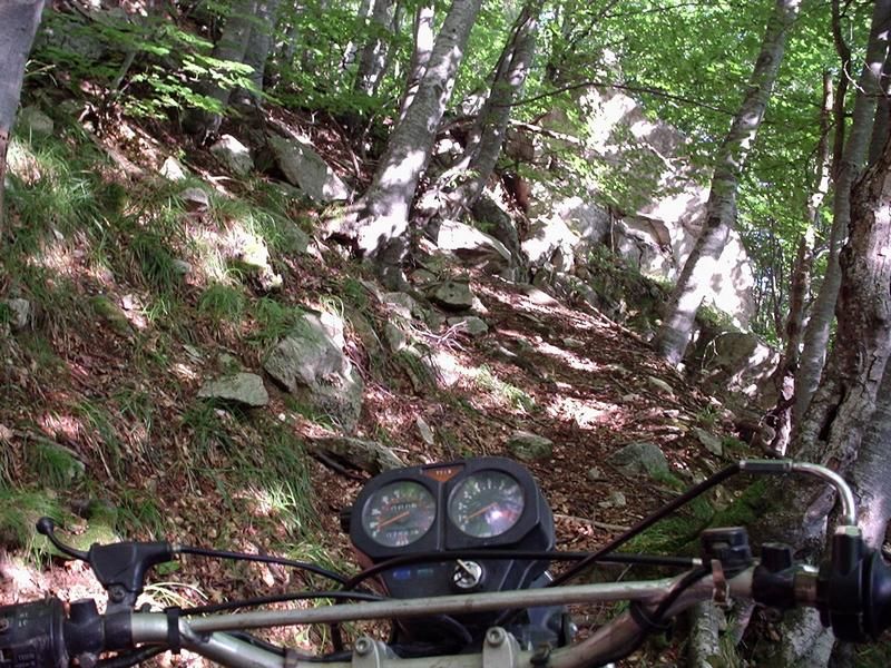 Натиснете снимката за да я уголемите

Име:3690069W.jpg
Прегледи:2
Размер:153.3 КБ
ID:5298355