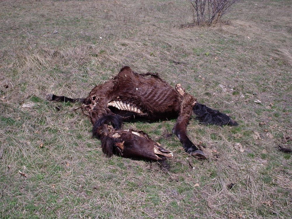 Натиснете снимката за да я уголемите

Име:Picture 636.jpg
Прегледи:1
Размер:241.5 КБ
ID:5362773