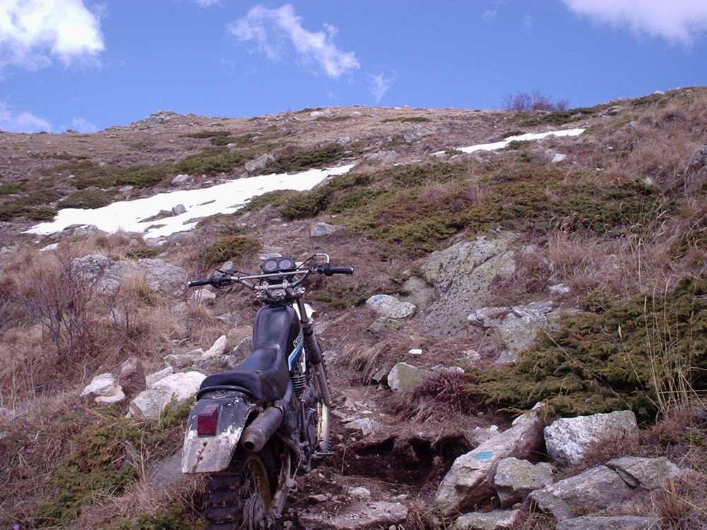 Натиснете снимката за да я уголемите

Име:Picture 623.jpg
Прегледи:1
Размер:210.0 КБ
ID:5362693