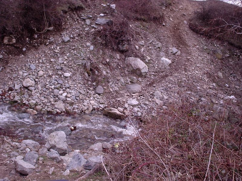 Натиснете снимката за да я уголемите

Име:4453167R.jpg
Прегледи:1
Размер:158.2 КБ
ID:5350868