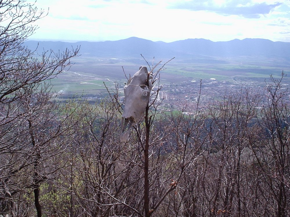 Натиснете снимката за да я уголемите

Име:Picture 638.jpg
Прегледи:1
Размер:236.4 КБ
ID:5362776