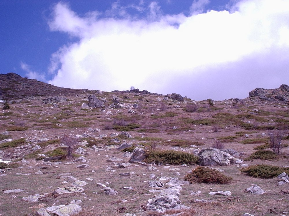 Натиснете снимката за да я уголемите

Име:Picture 620.jpg
Прегледи:1
Размер:191.4 КБ
ID:5362692