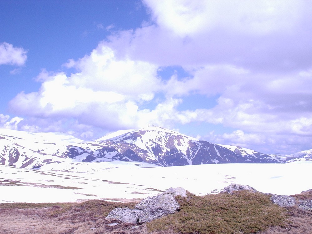 Натиснете снимката за да я уголемите

Име:Picture 631.jpg
Прегледи:1
Размер:167.1 КБ
ID:5362767